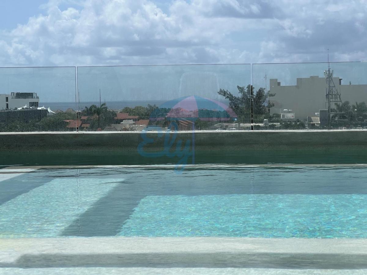 Anah Downtown Luxury Appartement